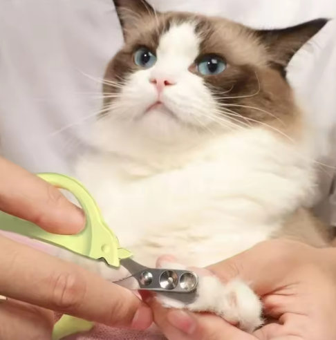 Kwispel-winkel | Professionele Nagelknipper voor Katten, Honden en Kleine Huisdieren