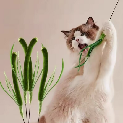 Kwispel-winkel | Interactieve Kattenhengel met Veren en Kattenkruid