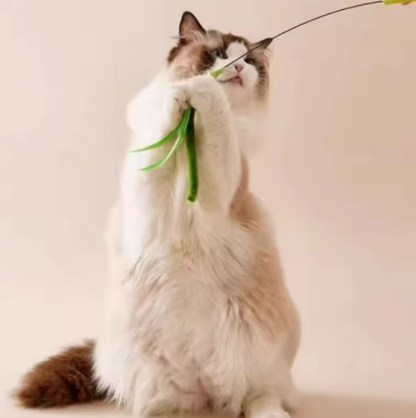 Kwispel-winkel | Interactieve Kattenhengel met Veren en Kattenkruid