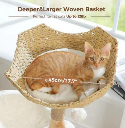 Kwispel-winkel | Moderne Kattenboom met Rotan Mand, Kattenhuis en Massief Houten Krabpalen