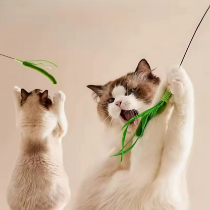 Kwispel-winkel | Interactieve Kattenhengel met Veren en Kattenkruid